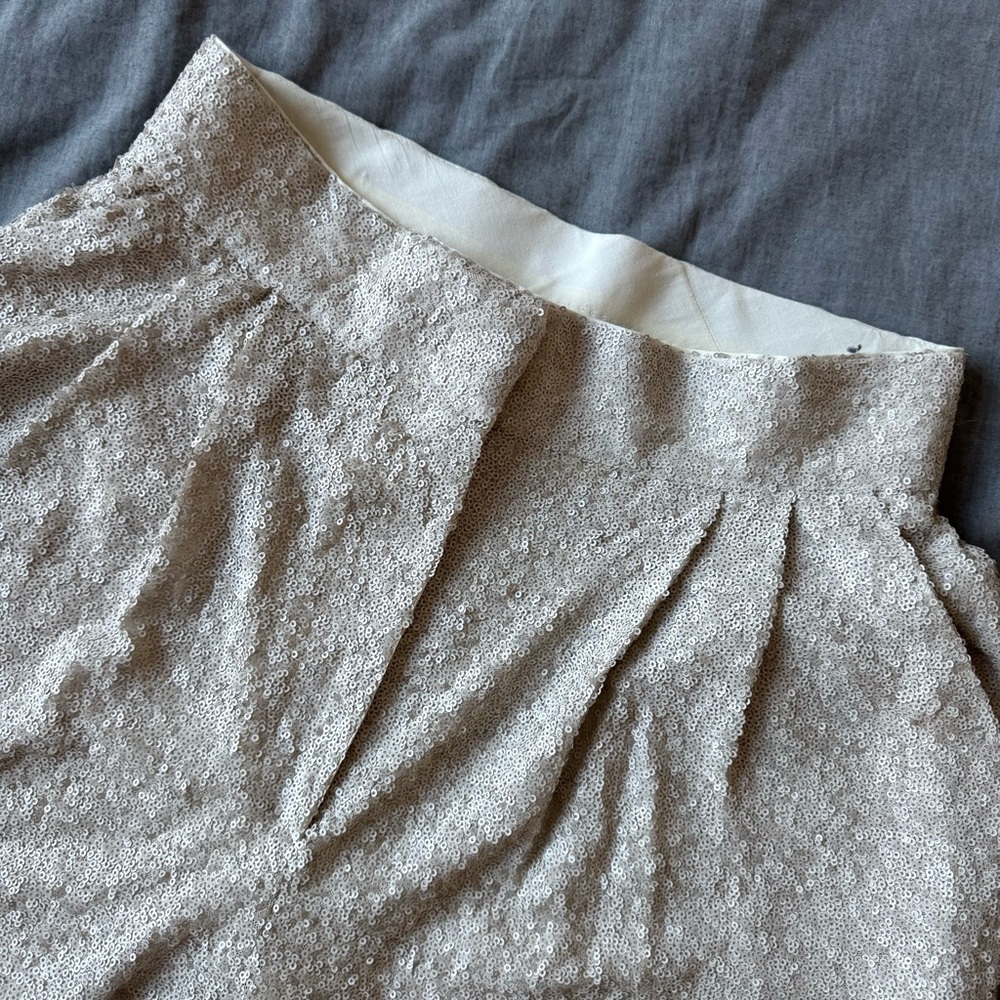 H&M Wide Leg Sequin Pants (US 8)